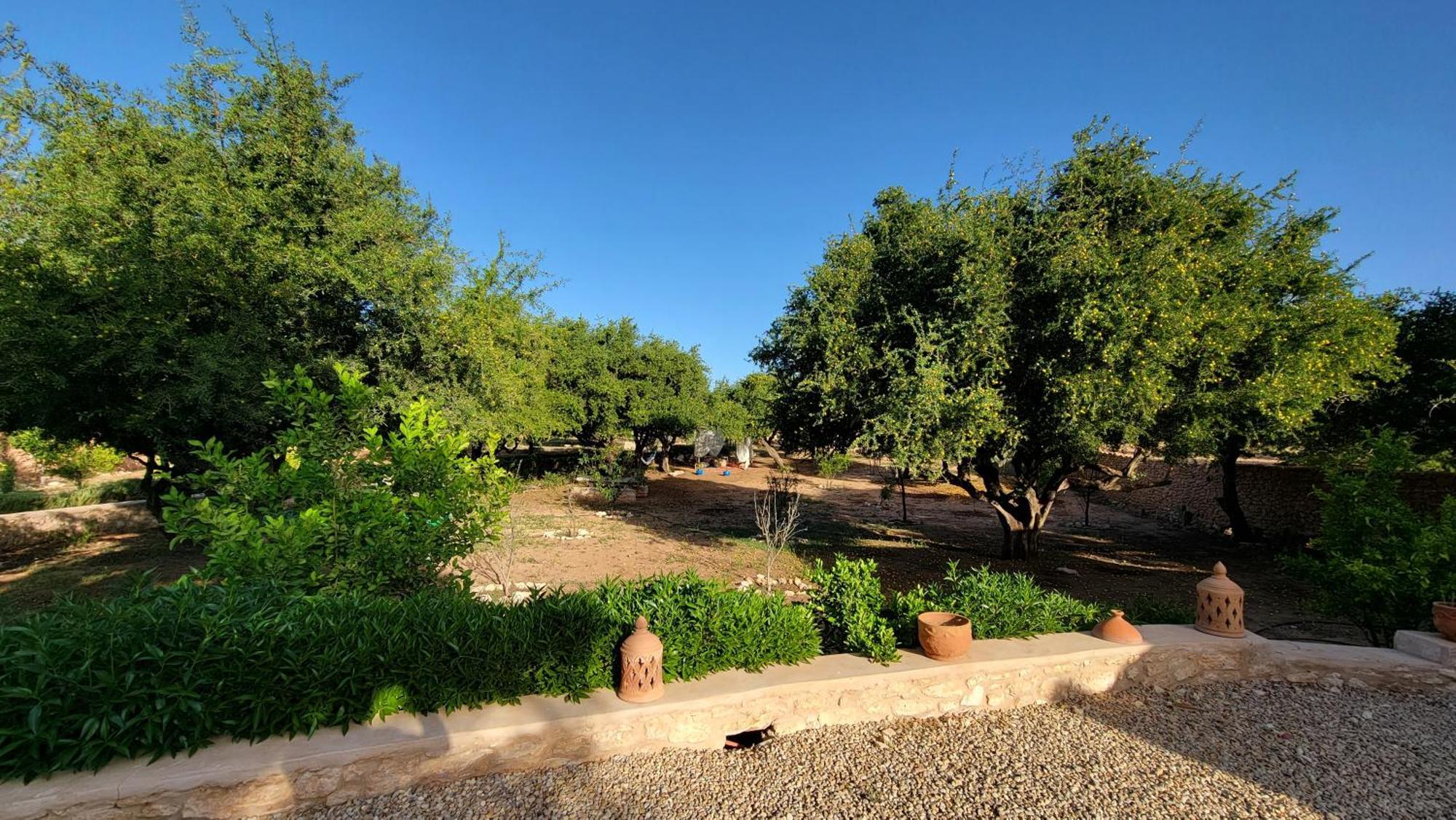 Villa Dar Ez-Zine à Ounara Extérieur photo